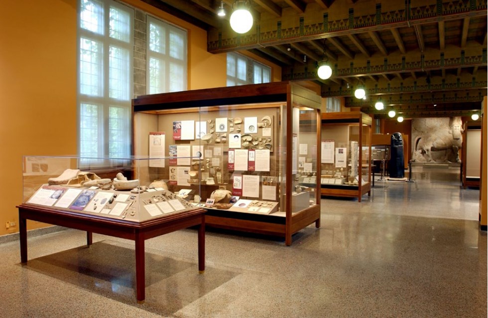 多彩同盟(中国游)官方网站