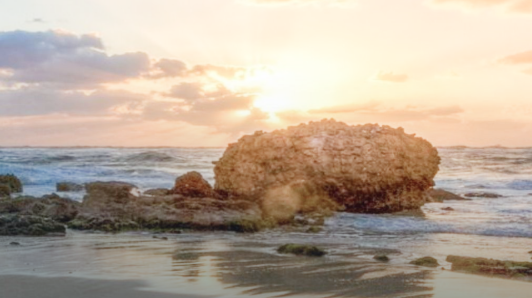 多彩同盟(中国游)官方网站